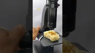 Look At Maggi Under Microscope #shorts #micro #microscope #maggi #science #biology #underamicroscope
