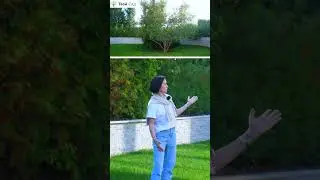 Горные сосны, яблони и Сербские ели #shorts #Можжевельник