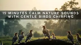 15 Minutes Calm Nature Sounds | Gentle Birds Chirping for Relaxation | Deep Relaxing Meditation