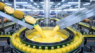 INSIDE A JACKFRUIT JUICE FACTORY: THE IMPRESSIVE PRODUCTION LINE