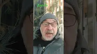 бал сатаны #дурацкие_вопросы 803