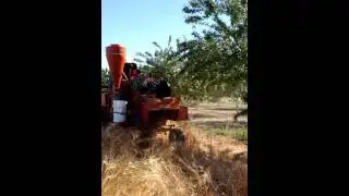 Emmer harvest with Kincaid small combine