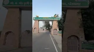Yeh Hai Hamara Pantnagar | Uttarakhand Culture ❤️ #Shorts #pantnagar