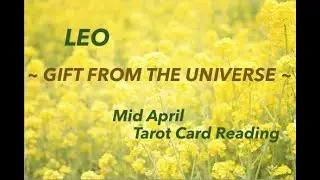 LEO ~ A GIFT FROM THE UNIVERSE ~ Mid April 2021, Tarot Card Reading