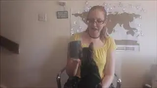 reviewing cheap cat toys and gadgets from wish July 2018