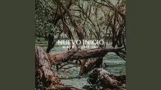 Nuevo Inicio