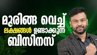 മുരിങ്ങ വെച്ച് ലക്ഷങ്ങൾ ഉണ്ടാക്കുന്ന ബിസിനസ്|Earn Lakhs of Rupees Through Moringa Leaves| AR RANJITH