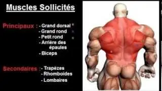Exercice musculation Dos : 