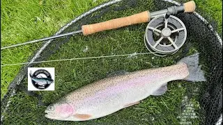 Fly Fishing Uk - Bransford Trout Lakes - Stillwater Trout
