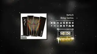 Bdog Santos 