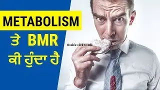 What is Metabolism and BMR in Punjabi | Metabolism Low and Fast