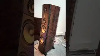 Raidho TD3.10 loudspeakers - 120.000 EUR #hifi #loudspeaker #loudspeakers #highendaudio #audiophile