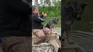 First Mate, Best Mate