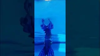 Mermaid pool fun!! #mermaid #naplesflorida #swimming @Finfunmermaid