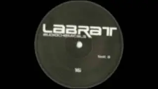 Gearshifter & The wirebug - Untitled (Labrat audiochemicals 16) 2005. B1: Rude the machine.