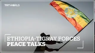Tigray peace talks due to begin in South Africa