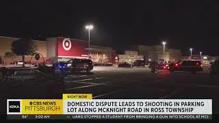 Domestic dispute leads to shooting in Target parking lot along McKnight Road