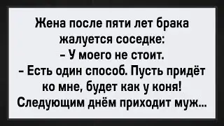 Как Соседка Импотента Лечила! Сборник Свежих Анекдотов! Юмор!