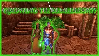 underground farming & MASS spider cleanse