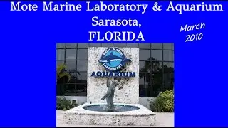 Florida Sarasota Mote Marine Laboratory & Aquarium 2010