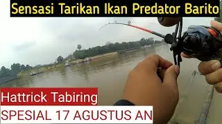 CASTING IKAN TABIRING SUNGAI BARITO - UJUNG DERMAGA MUARA TEWEH