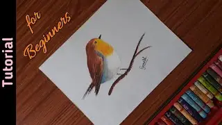 Easy Robin Bird painting with oil pastel/step by step robin bird painting tutorial for beginners