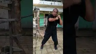 This Is Wing Chun Freestyle | Level 12 Striking Power