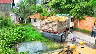 incredible landfill skill operation work , truck transport soil with bulldozer push soil build house
