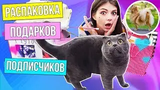 РАСПАКОВКА ПОДАРКОВ ПОДПИСЧИКОВ | МНЕ ПОДАРИЛИ ПЕСИКА | САНКТ-ПЕТЕРБУРГ