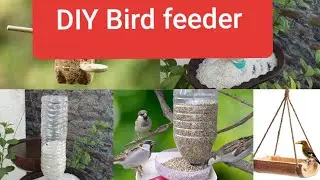 How to make bird feeder 🐦🐥🕊🦅 बहोत आसानी से बनाये bird feeder #birdfeeder #craft #diy #plantgardenhub