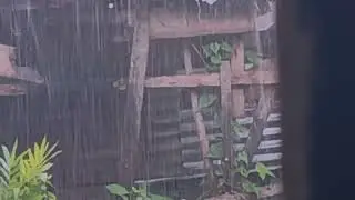 Heavy Rain and Thunderstorm on Tin Roof | Relaxing Sleep Sounds