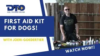 First Aid Kit For Dogs!