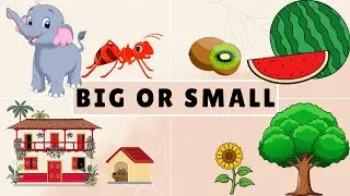 Big or Small | Size Comparison Game for Kids | Learn Opposites | Kids Educational Video | Kids Video