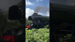 British rail class 67 pulls the flying scotsman.