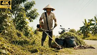 Satisfying Street Grass Cutting &ndash; From Overgrown to Clean