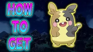 Where To Find Morpeko In Pokemon Scarlet & Violet DLC