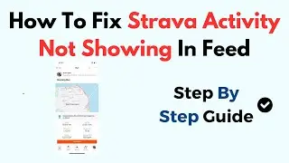 How To Fix Strava Activity Not Showing In Feed