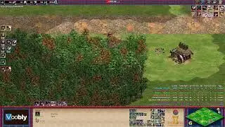 Voobly AOE2 1.6: Черный лес, командная игра 4 на 4