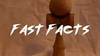 Fast Facts - Satin Ash Complete From Analog Kendamas