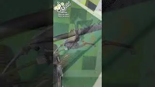 CYCLE WORLD TIRUPUR | G SPORTS FAT BIKE | TERRAKAN CYCLE | BRANDED CYCLES @LOWPRICE CYCLE IN TIRUPUR