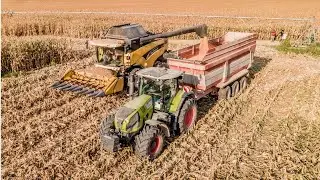 Trebbiatura Mais 2021 con New Holland CX780 e testata 8 file | Claas Axion 850 & Maschio Visini