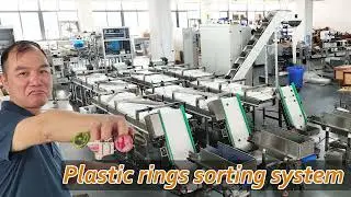 Automatic counting and sorting conveyor system--Focus Machinery