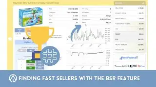 Using Online Arbitrage Deals' BSR Feature to Find FAST SELLING products