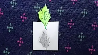how to draw floating leaf