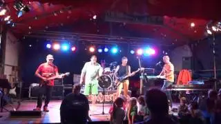 Tom Alex Band - Dorffest Wollmatingen 2013 Clip