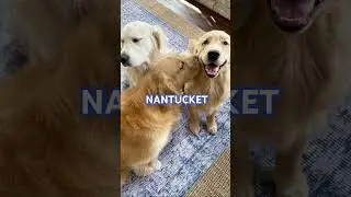 PREPPY AESTHETICS! #preppy #preppyyyy #nantucket #clean #tiktok #fypシ゚viral #subscribe #aesthetic