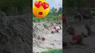 Epic Fails Compilation 👉 Family Fell Into The Mud 😂 😂 ❤️  Part 11