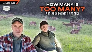 How to Know if You Have too Many Deer, What is the best Number? | Dream Farm w/ Bill Winke