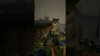 V80101-225448.mp4