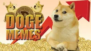DogeCoin Memes